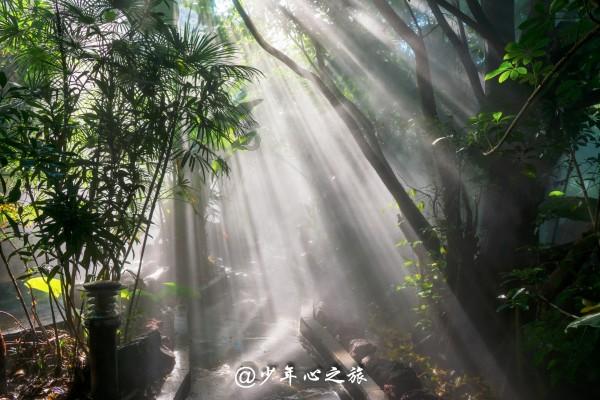 澳洲皮草
